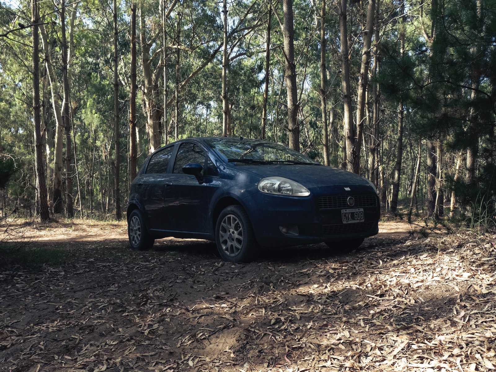 manutenzione della fiat punto