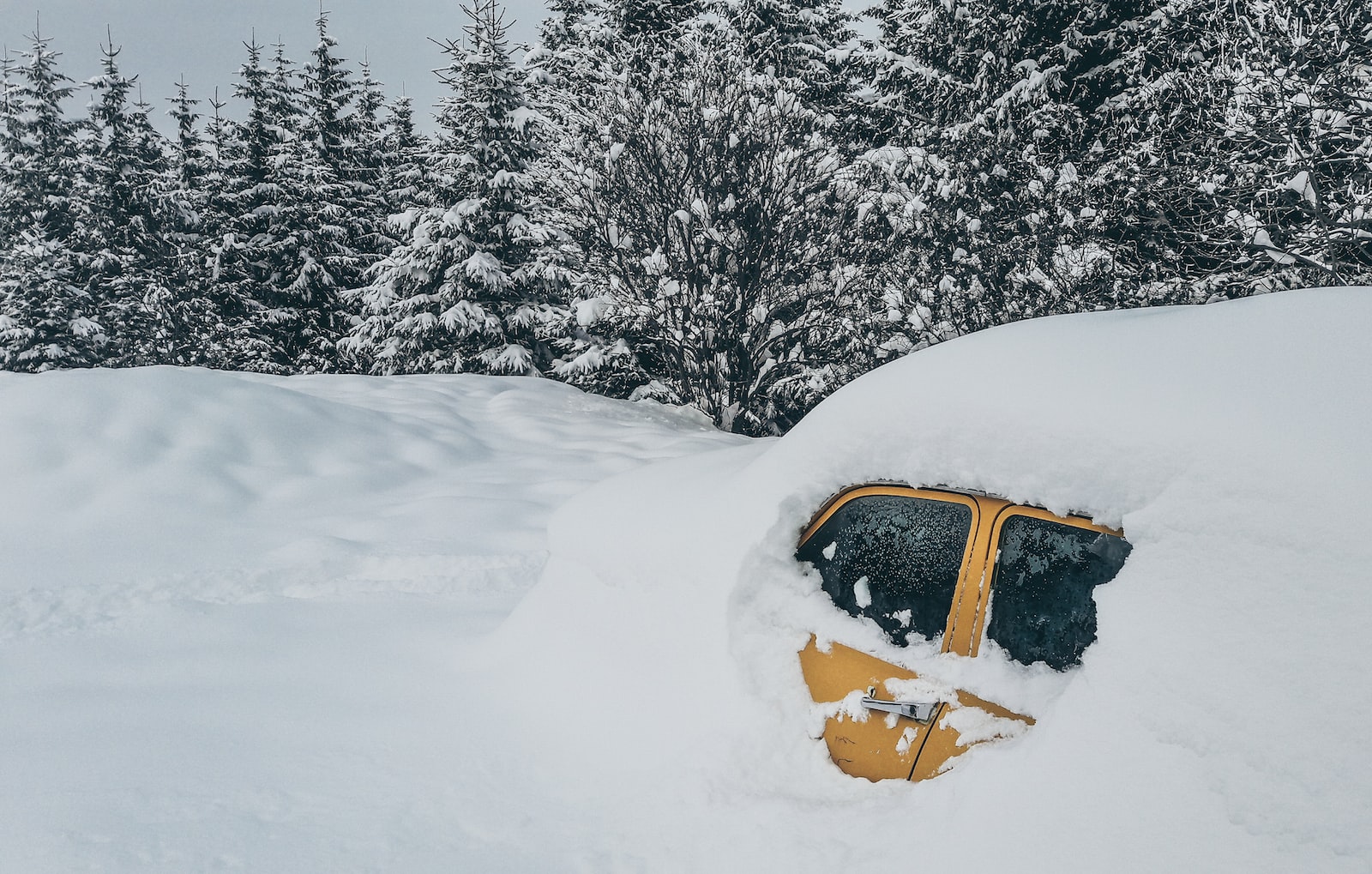 auto neve inverno