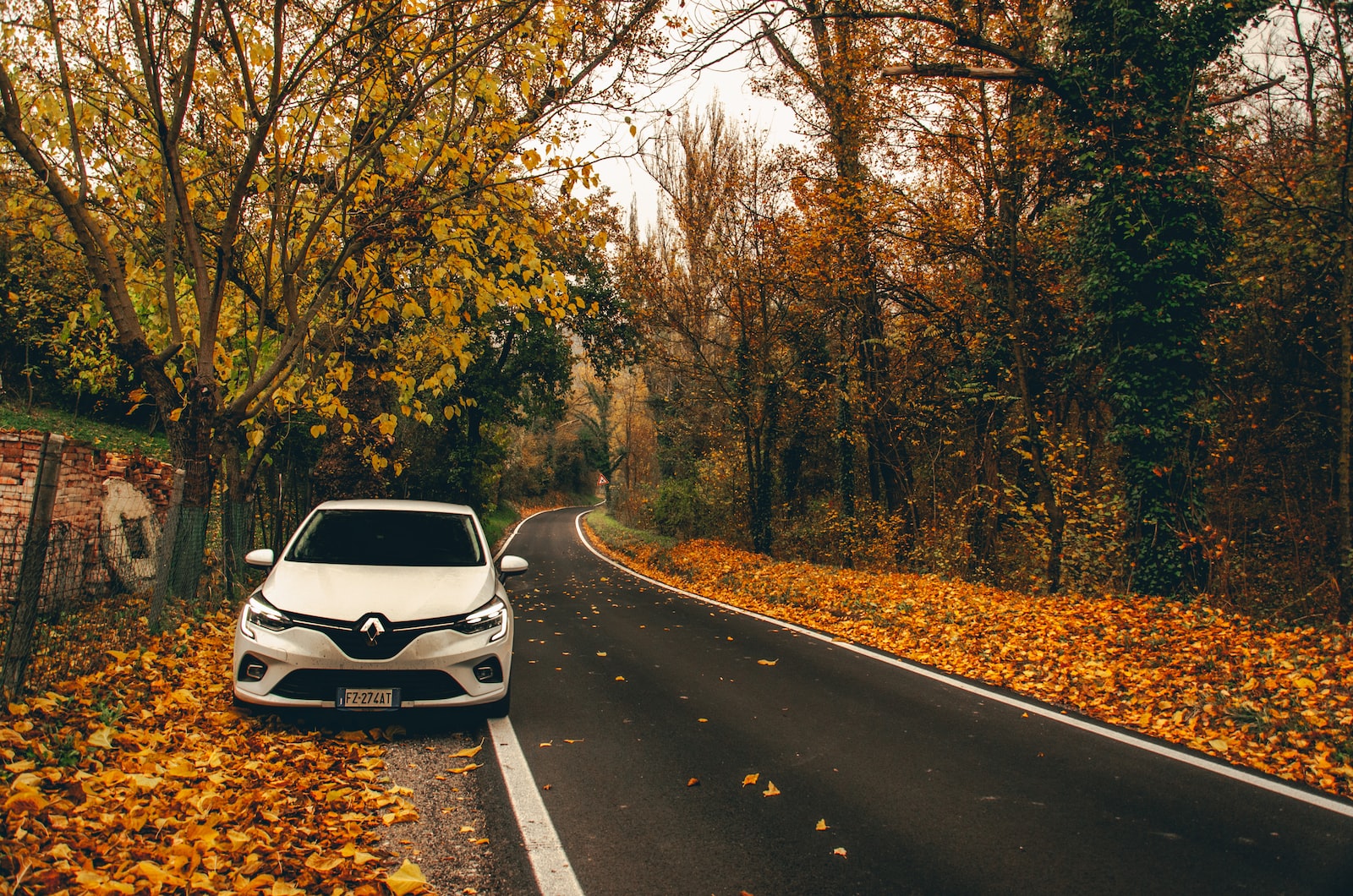 reanult Clio strada autunno